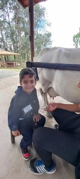 Bicho Mania 2022